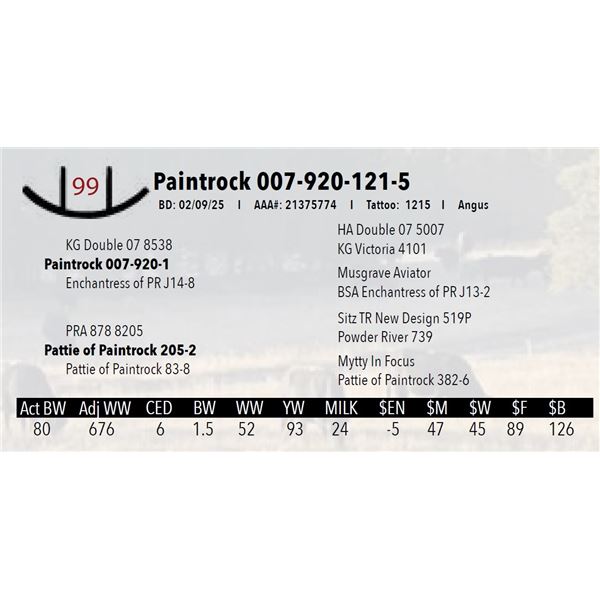 Paintrock 007-920-121-5