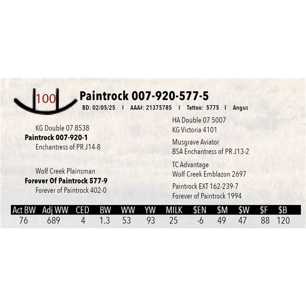 Paintrock 007-920-577-5