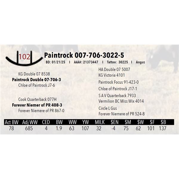 Paintrock 007-706-3022-5