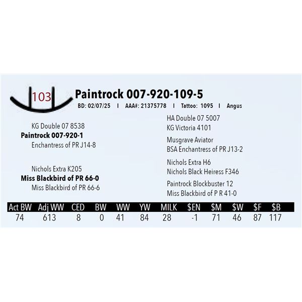 Paintrock 007-920-109-5