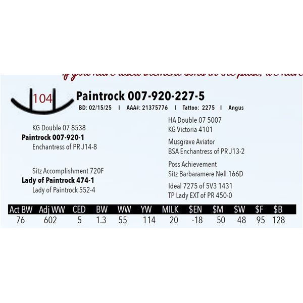 Paintrock 007-920-227-5