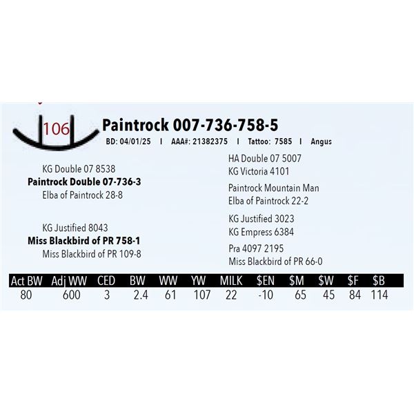 Paintrock 007-736-758-5