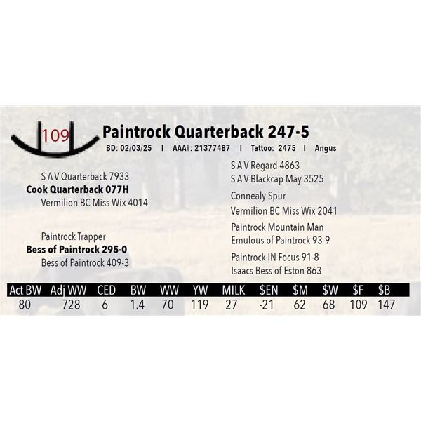 Paintrock Quarterback 247-5