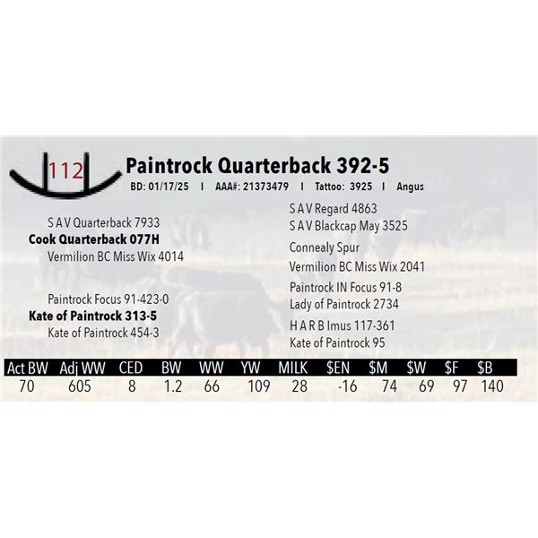 Paintrock Quarterback 392-5