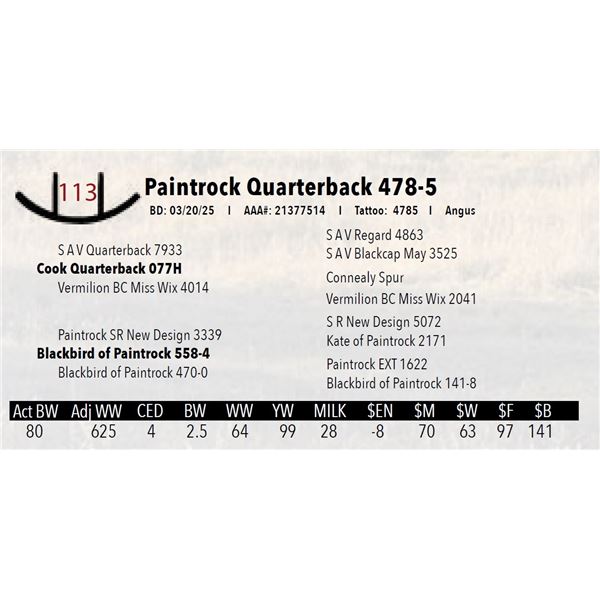 Paintrock Quarterback 478-5