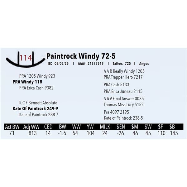 Paintrock Windy 72-5