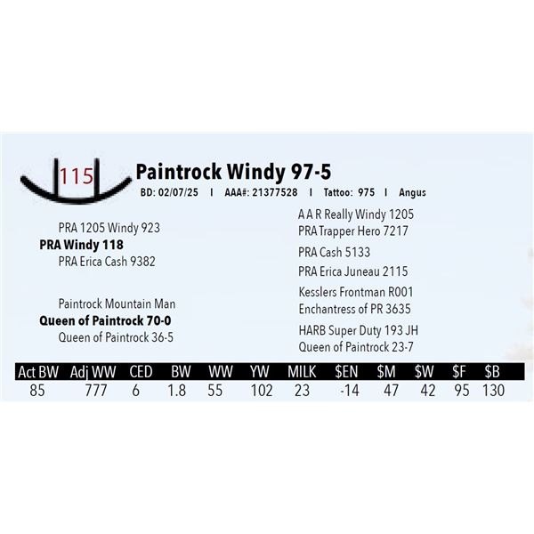 Paintrock Windy 97-5