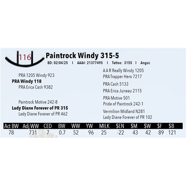 Paintrock Windy 315-5