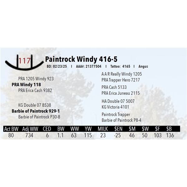 Paintrock Windy 416-5