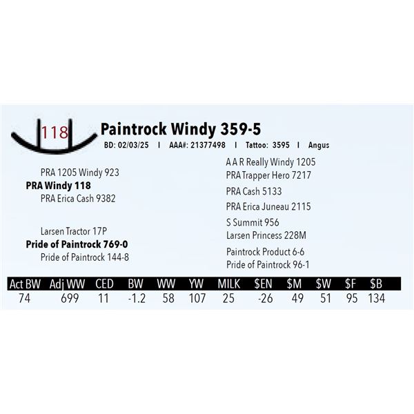 Paintrock Windy 359-5