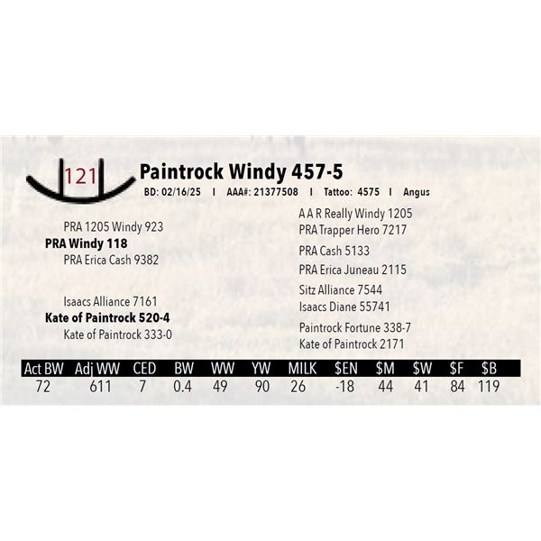 Paintrock Windy 457-5