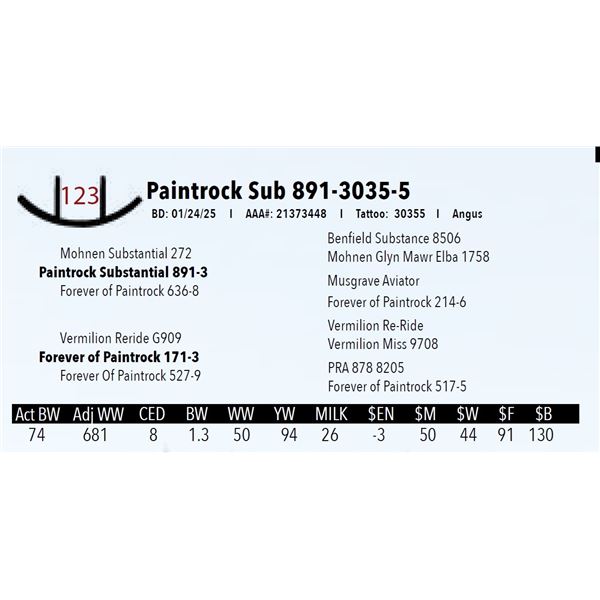 Paintrock Sub 891-3035-5