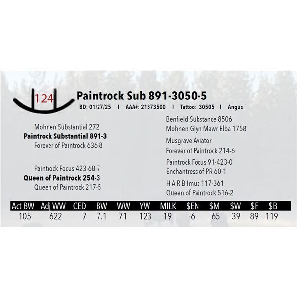 Paintrock Sub 891-3050-5