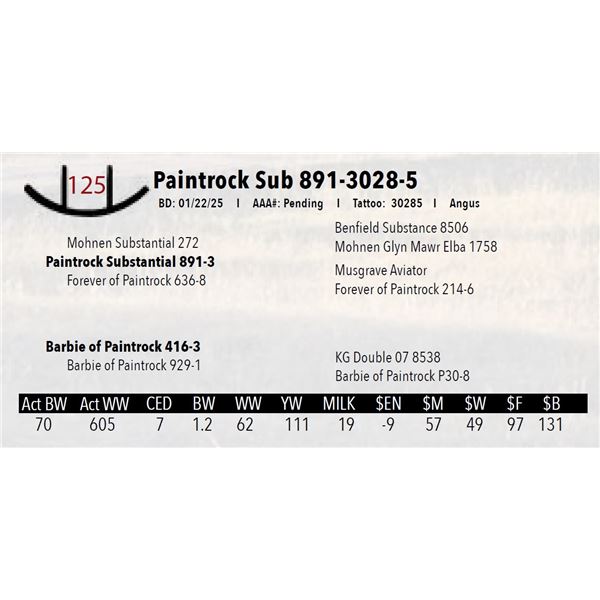 Paintrock Sub 891-3028-5