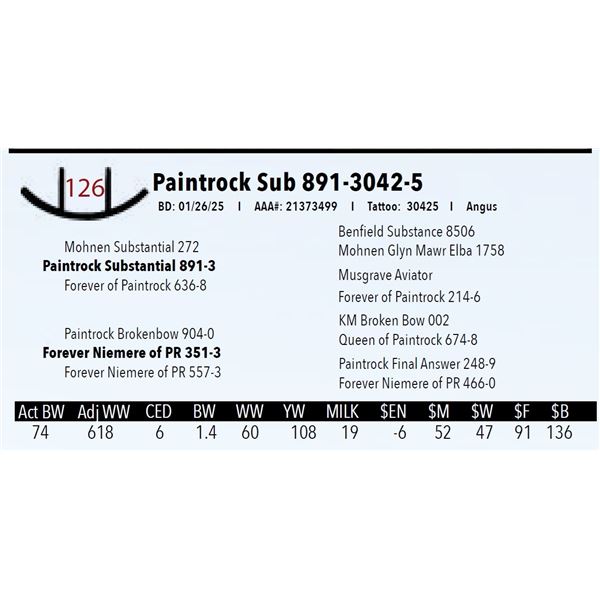 Paintrock Sub 891-3042-5