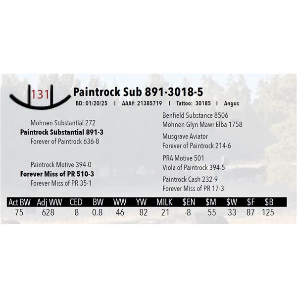 Paintrock Sub 891-3018-5