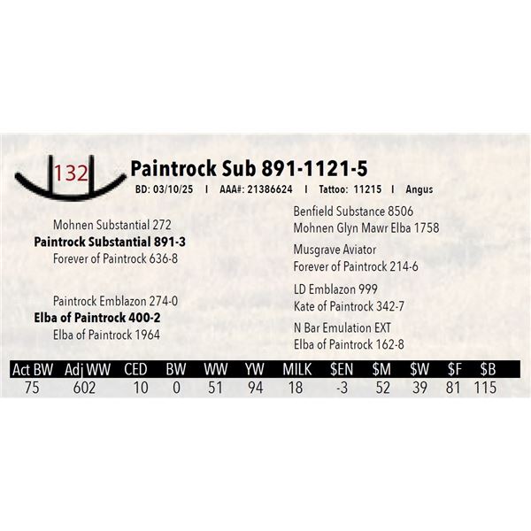 Paintrock Sub 891-1121-5