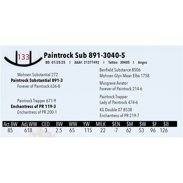 Paintrock Sub 891-3040-5