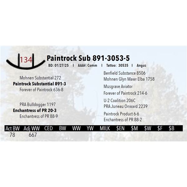 Paintrock Sub 891-3053-5