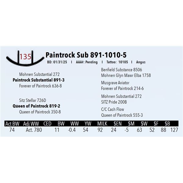 Paintrock Sub 891-1010-5