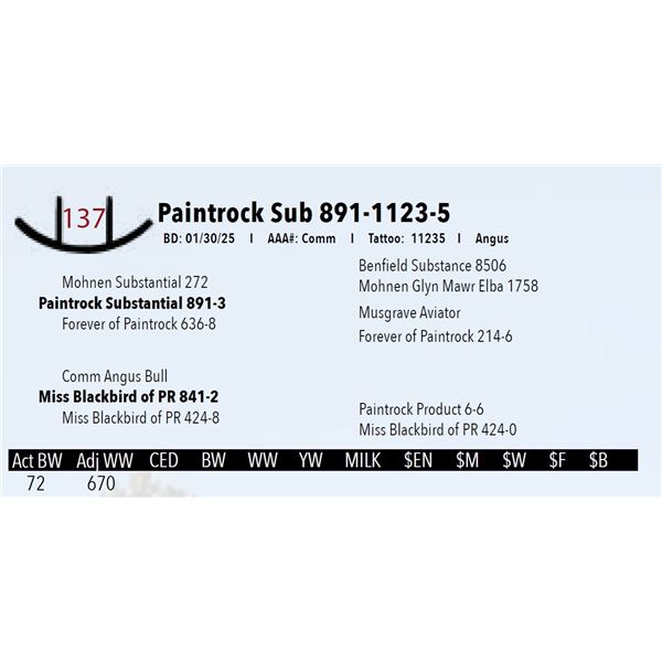 Paintrock Sub 891-1123-5