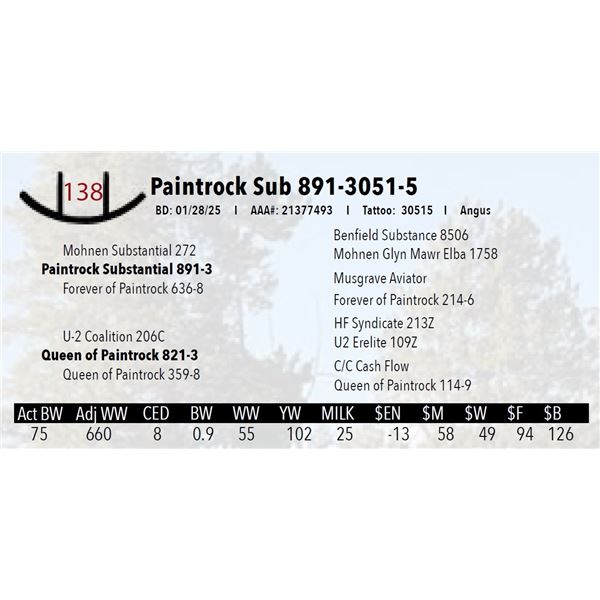 Paintrock Sub 891-3051-5