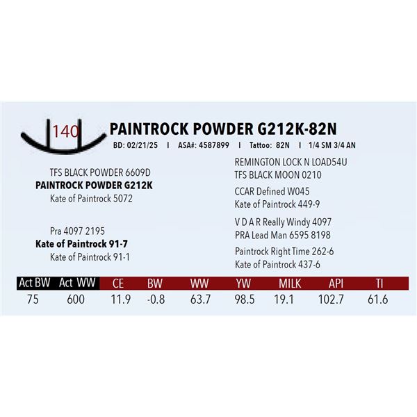 PAINTROCK POWDER G212K-82N