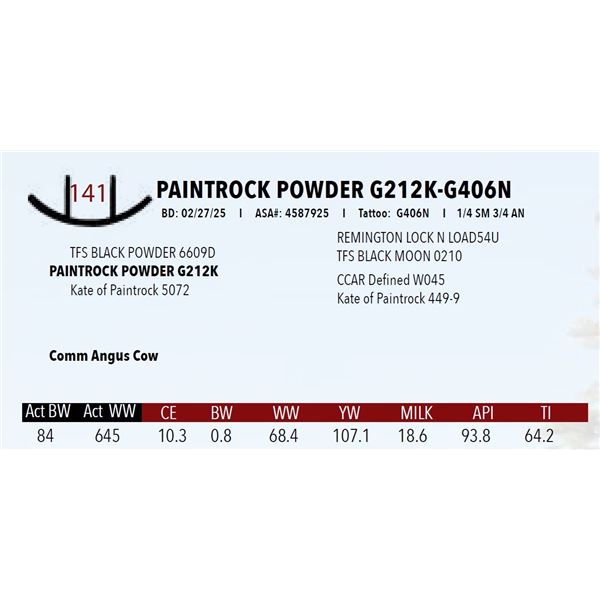 PAINTROCK POWDER G212K-G406N