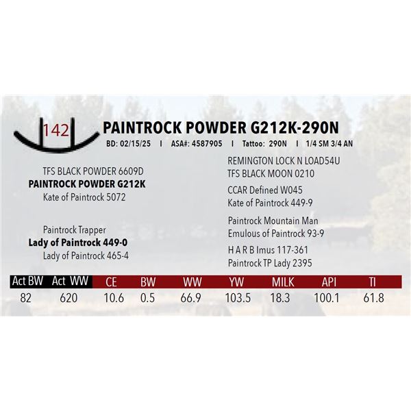 PAINTROCK POWDER G212K-290N