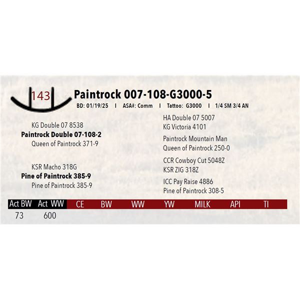 Paintrock 007-108-G3000-5