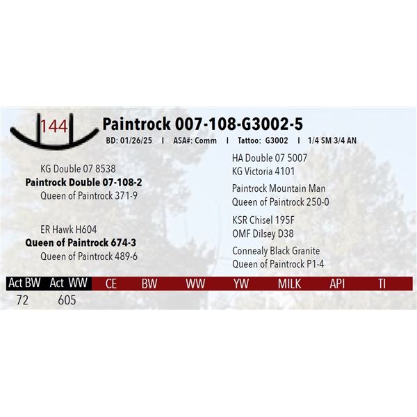 Paintrock 007-108-G3002-5