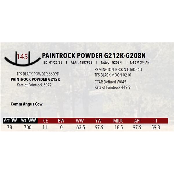 PAINTROCK POWDER G212K-G208N