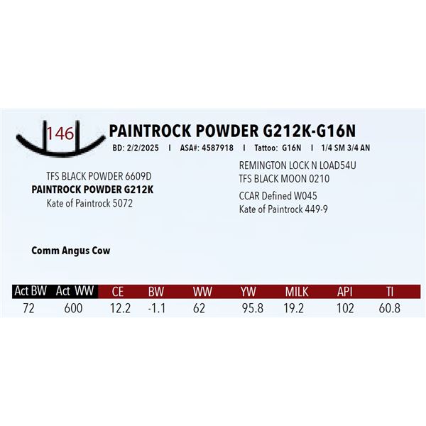 PAINTROCK POWDER G212K-G16N