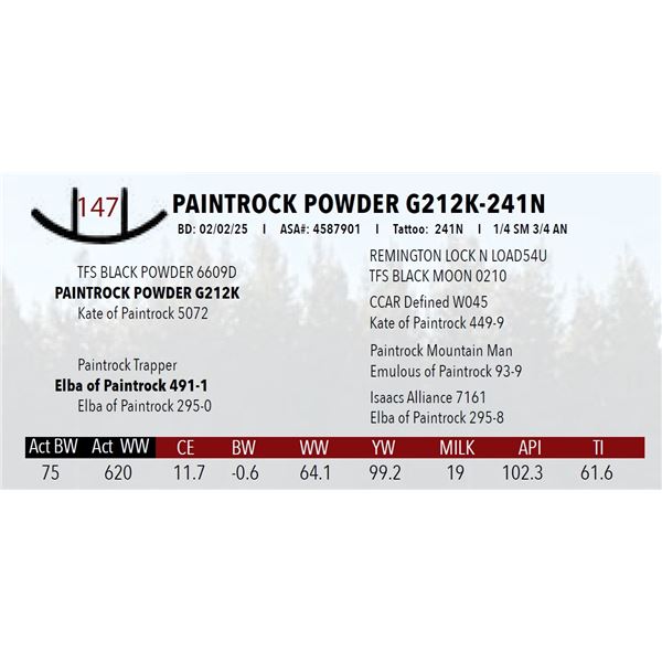 PAINTROCK POWDER G212K-241N