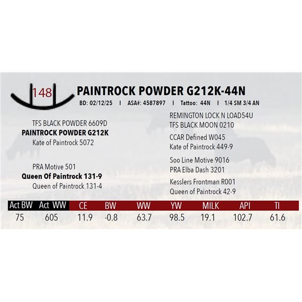 PAINTROCK POWDER G212K-44N