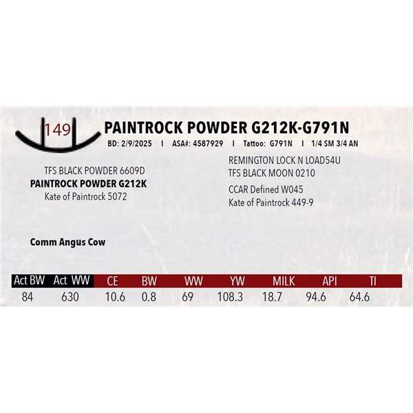 PAINTROCK POWDER G212K-G791N