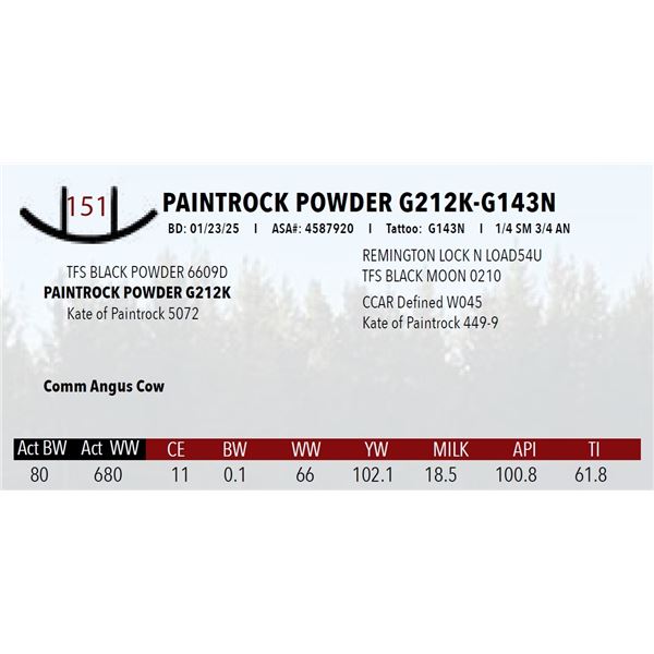 PAINTROCK POWDER G212K-G143N