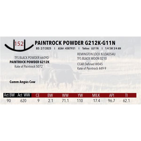 PAINTROCK POWDER G212K-G11N