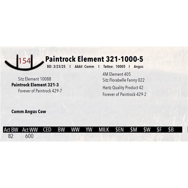 Paintrock Element 321-1000-5