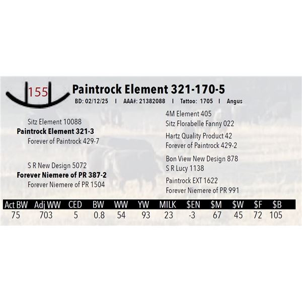 Paintrock Element 321-170-5
