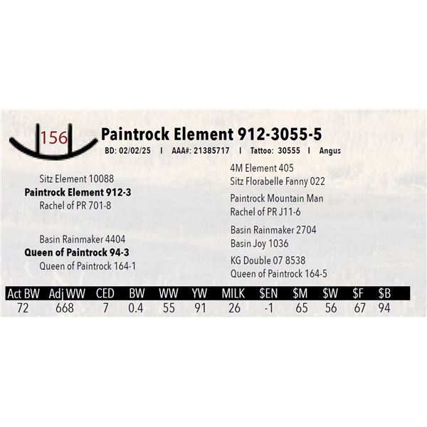 Paintrock Element 912-3055-5