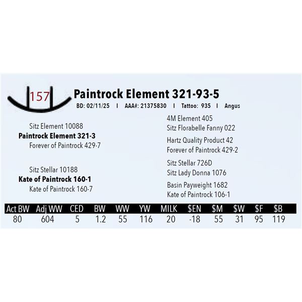 Paintrock Element 321-93-5