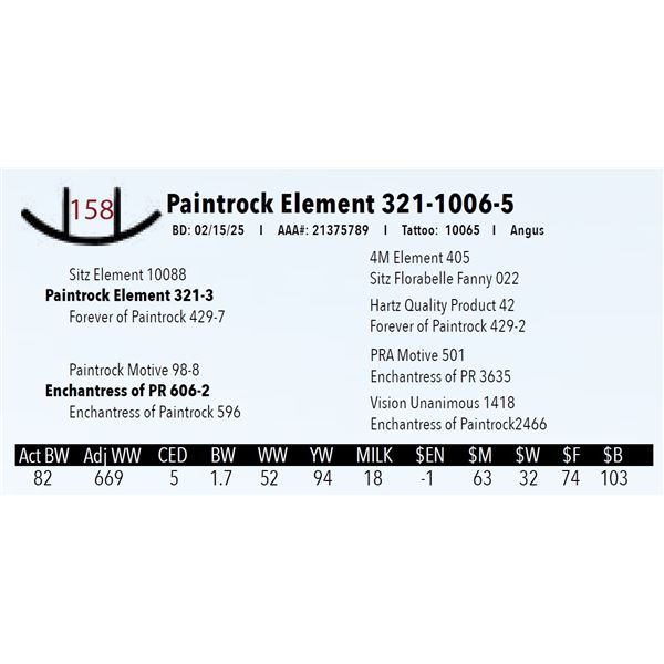 Paintrock Element 321-1006-5