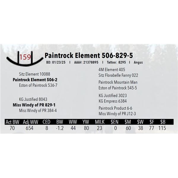 Paintrock Element 506-829-5