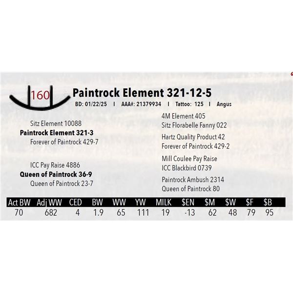 Paintrock Element 321-12-5