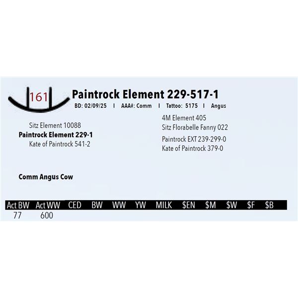 Paintrock Element 229-517-1