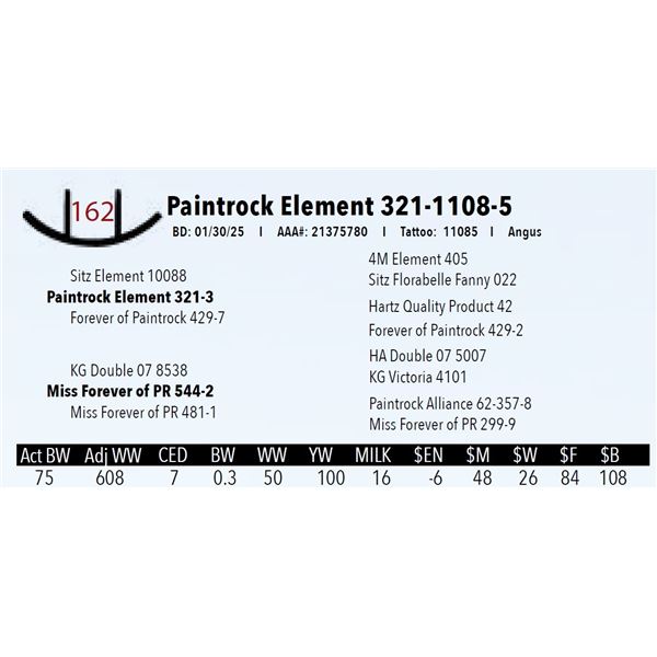 Paintrock Element 321-1108-5