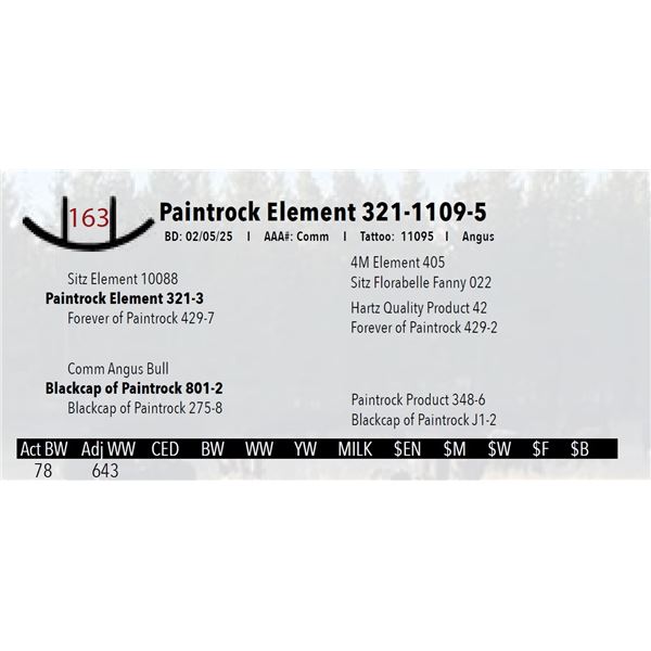 Paintrock Element 321-1109-5