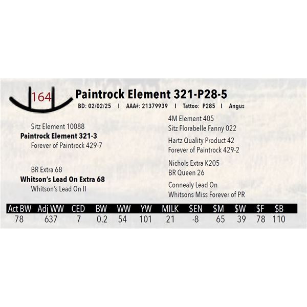 Paintrock Element 321-P28-5