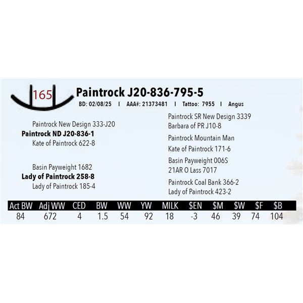 Paintrock J20-836-795-5